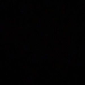 Meet your Posher, Tweety